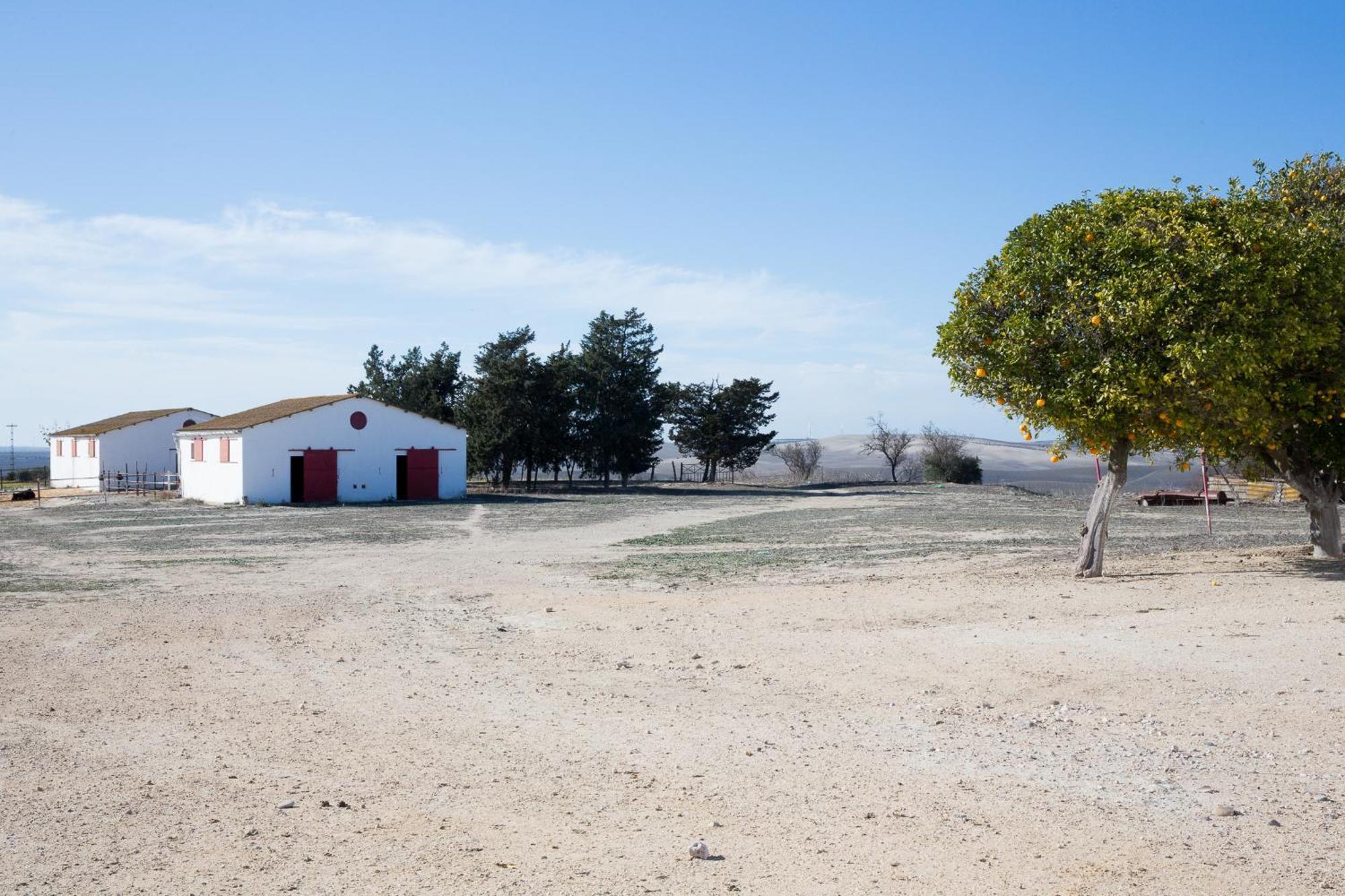 Cortijo Rural La Mariscala Villa Jerez de la Frontera Kültér fotó