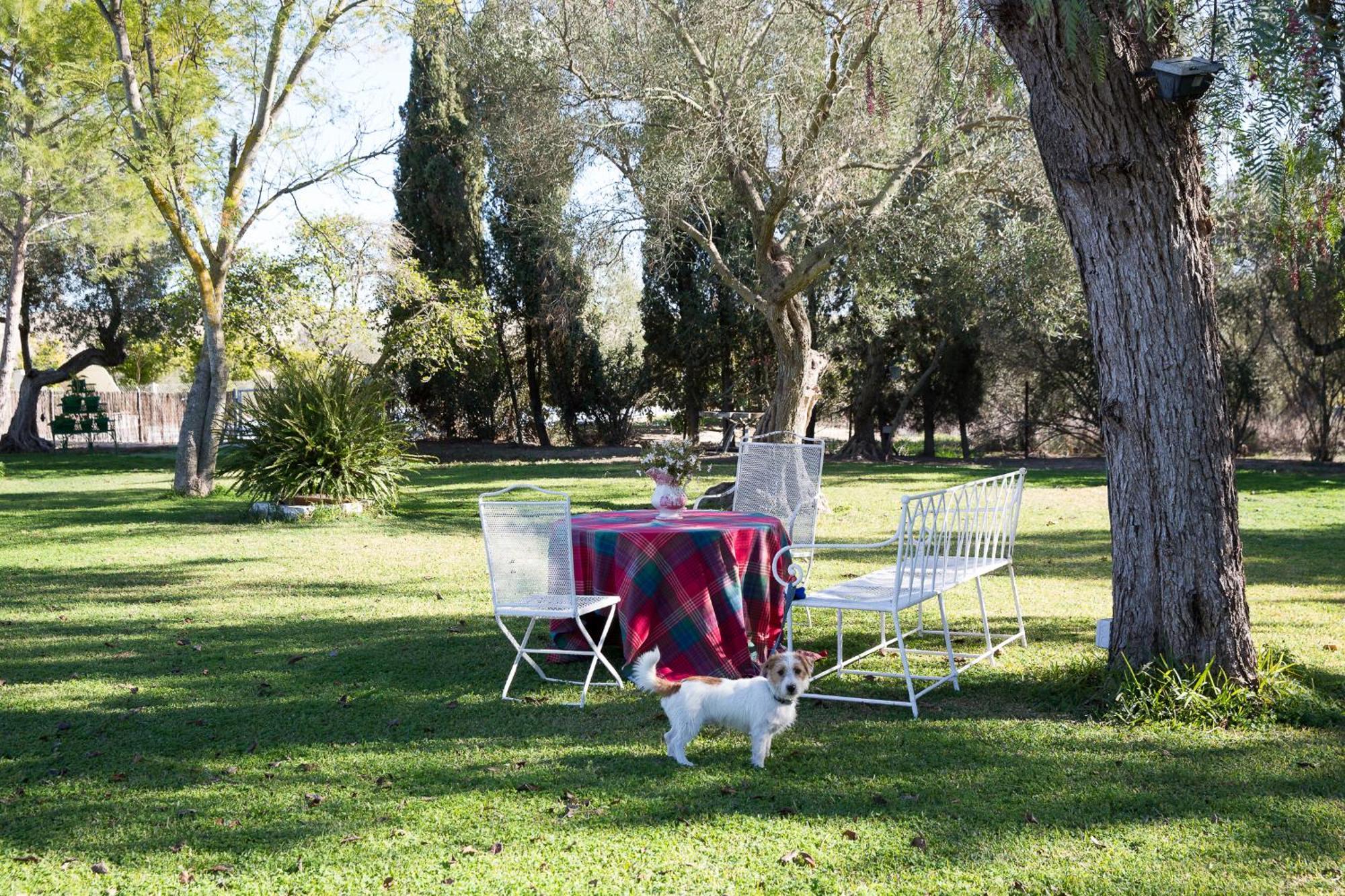 Cortijo Rural La Mariscala Villa Jerez de la Frontera Kültér fotó